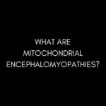 What are Mitochondrial Encephalomyopathies